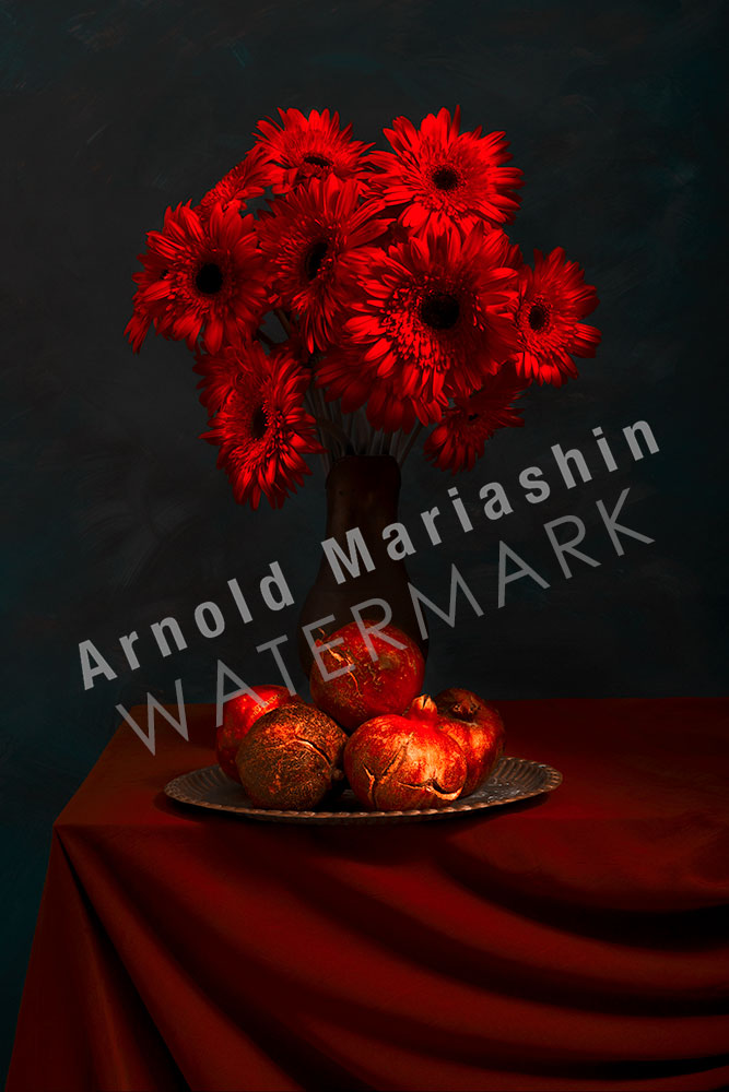 A Symphony of Red by Arnold Mariashin